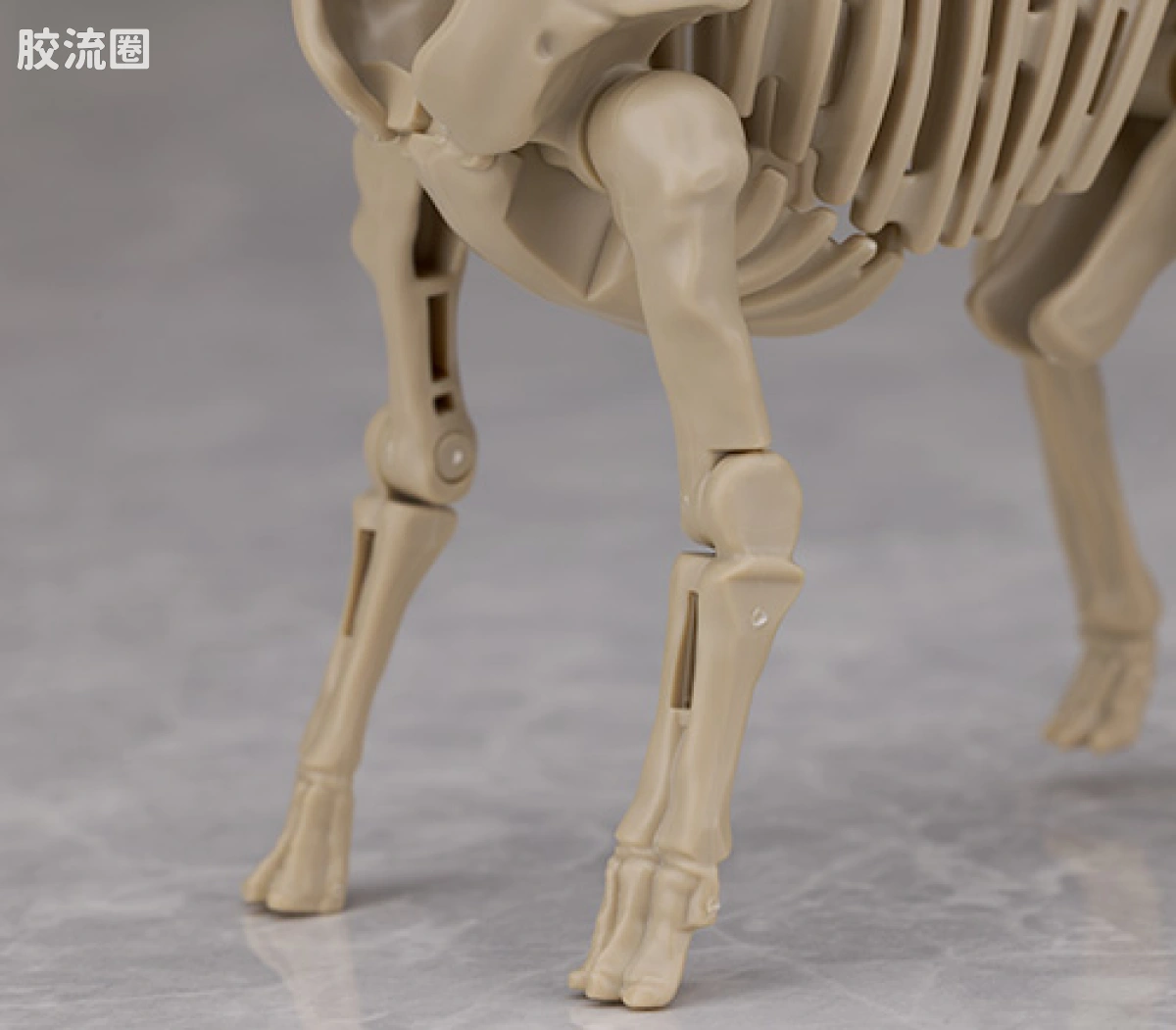 万代综合拼装模型系列 Plannosaurus <侏罗纪世界 重生> 泰坦巨龙 - 图片